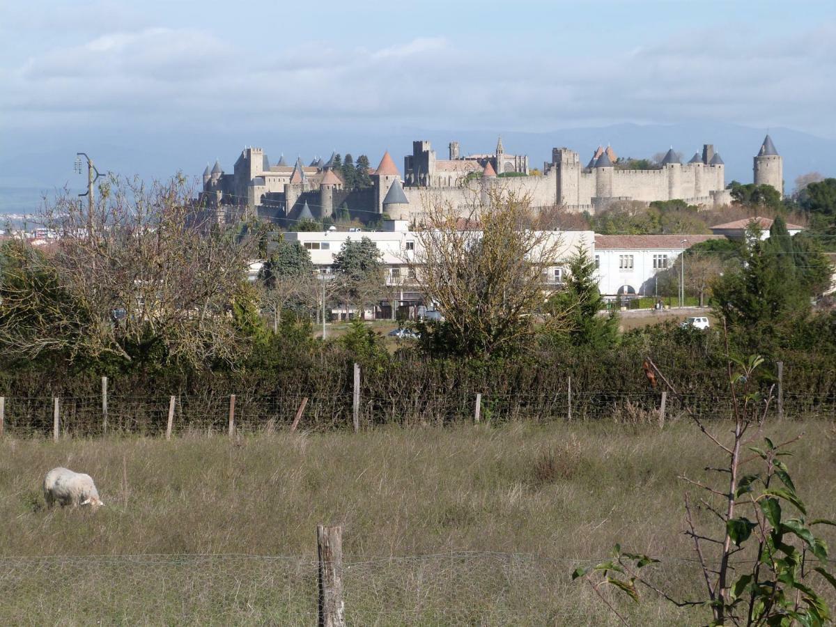 Gite Des Figuiers Carcassonne Exteriör bild