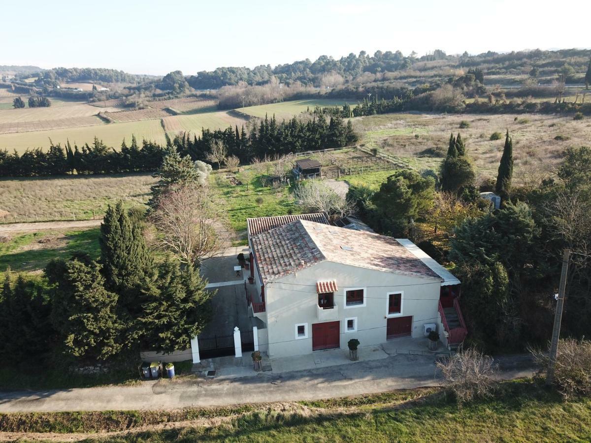 Gite Des Figuiers Carcassonne Exteriör bild